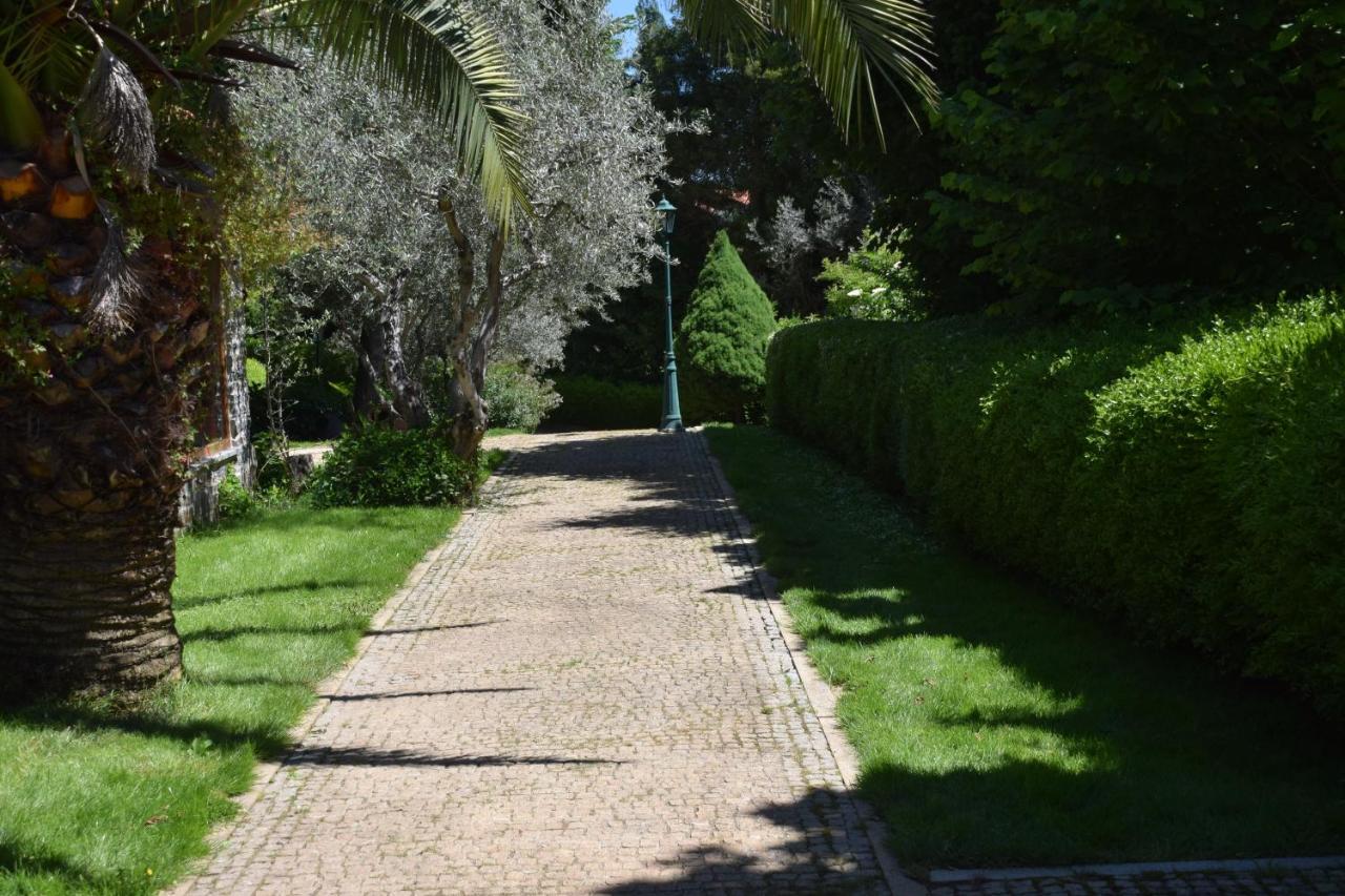 Hotel Quinta Da Boa Ventura Bragança Exteriér fotografie